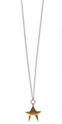 Halskette 0723BI, lange versilberte Kette mit vergoldetem Sternanhänger
