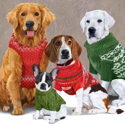 Servietten Sweater Dogs, Hunde im Pullover,  33x33,  333001427